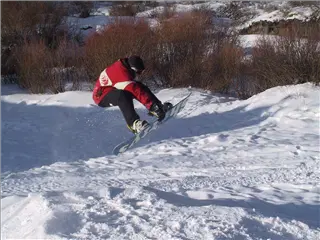 small_011230 coIMG_2223.webp